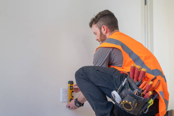 Best Residential Electrician Services  in Wayland, MI